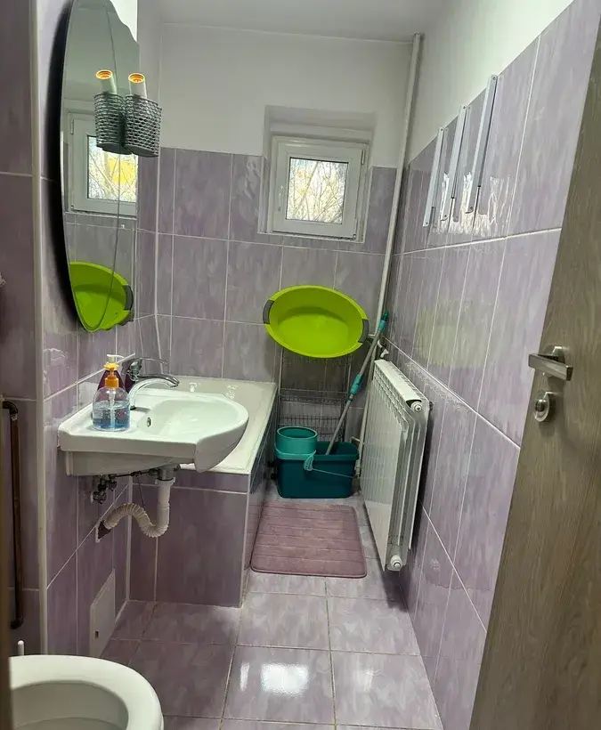 Sebastian Petre Ispirescu