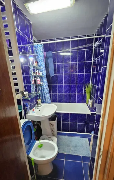 Lacul Tei Maica Domnului Domino Parcul Circului adiacent renovat 2024