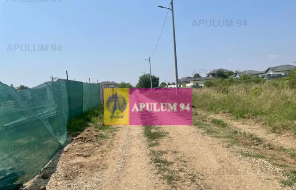 Teren Domnesti Ciutaci