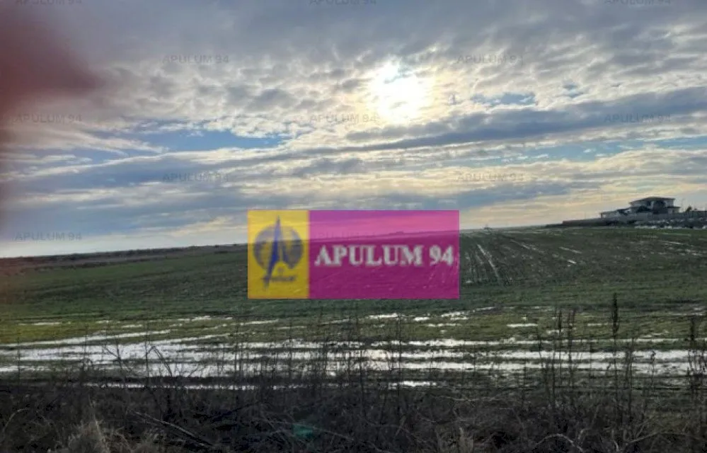 Teren Mihailesti langa Dovinot