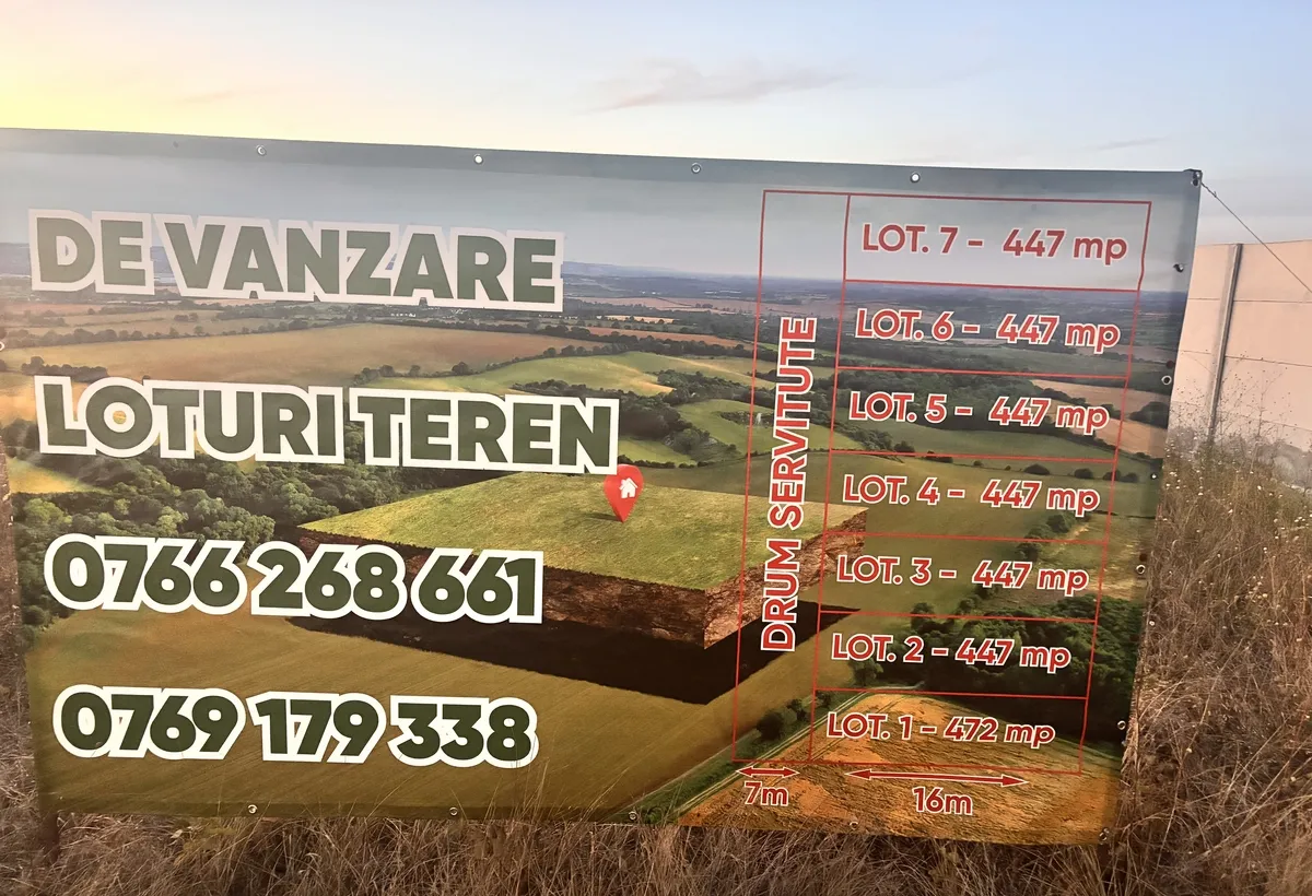 Domnesti Ilfov Str Teiului Teren