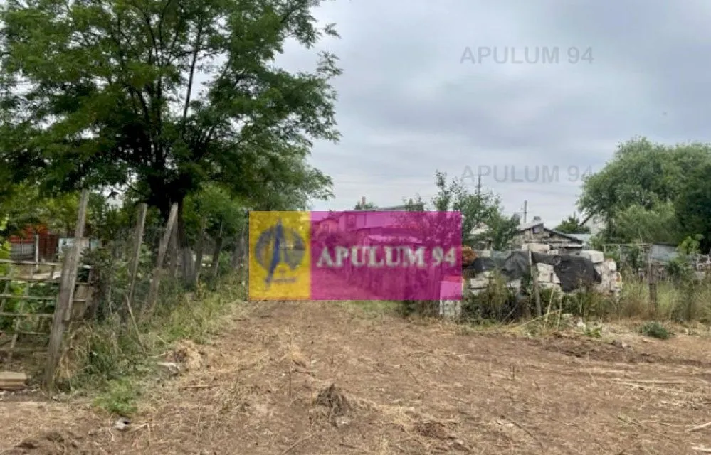 Teren Domnesti Mega Image