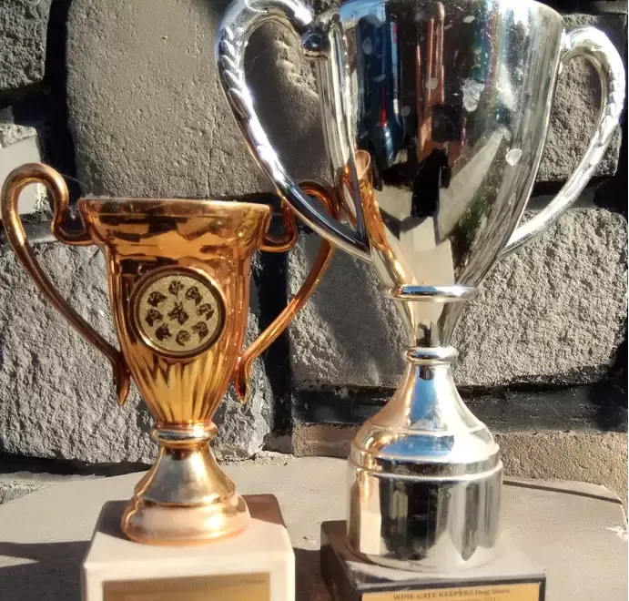 Trofee concursuri internatinale canine