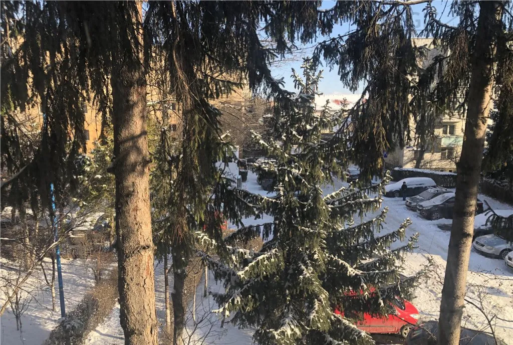 De 3 Camere Bloc Structura solida Panorama Grivitei