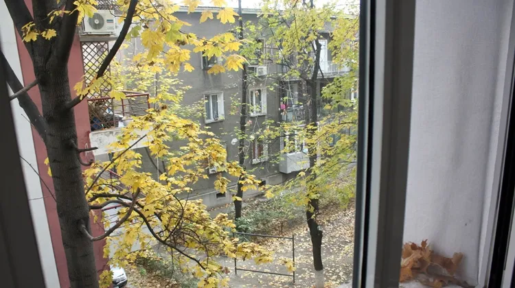 Floreasca Bucuresti sector 1 parc Floreasca