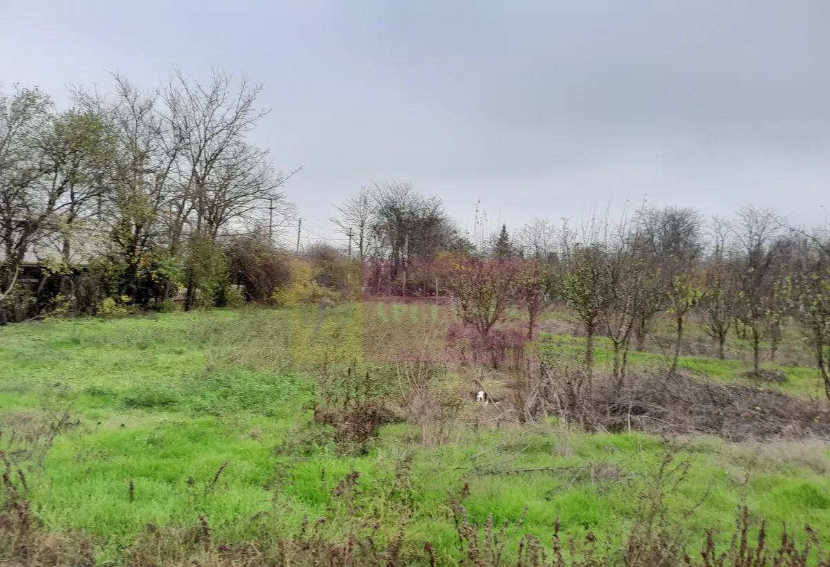 Barcanesti casa curte teren 16k mp