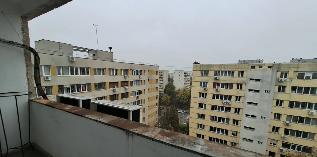 Colentina Teiul Doamnei