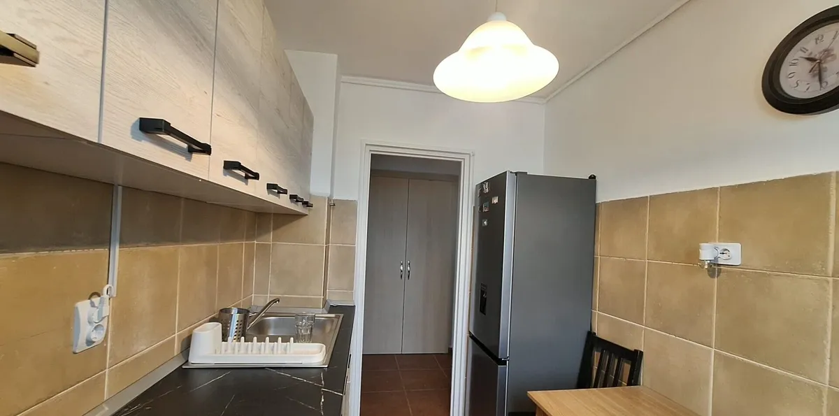 Colentina Teiul Doamnei