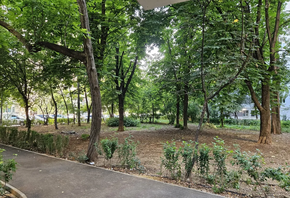 Drumul Taberei Bdul 1 Mai