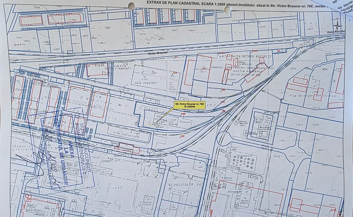 Pallady Ikea Victor Brauner Hala si teren