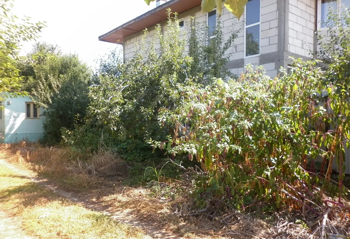 Vidra teren intravilan 4 800 mp sau 1 200 mp