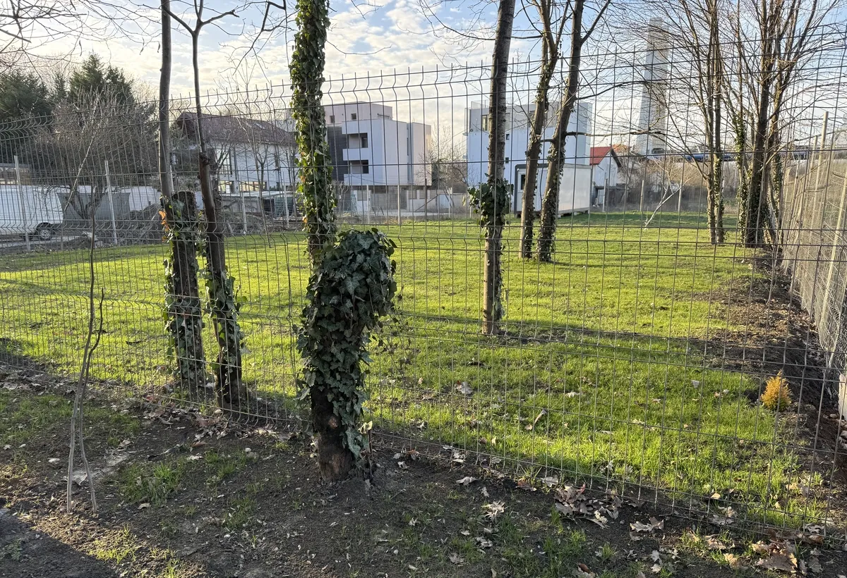 Baneasa Aleea Teisani nr 103A sector 1