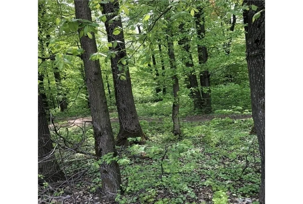 Baneasa Aleea Teisani nr 103A sector 1