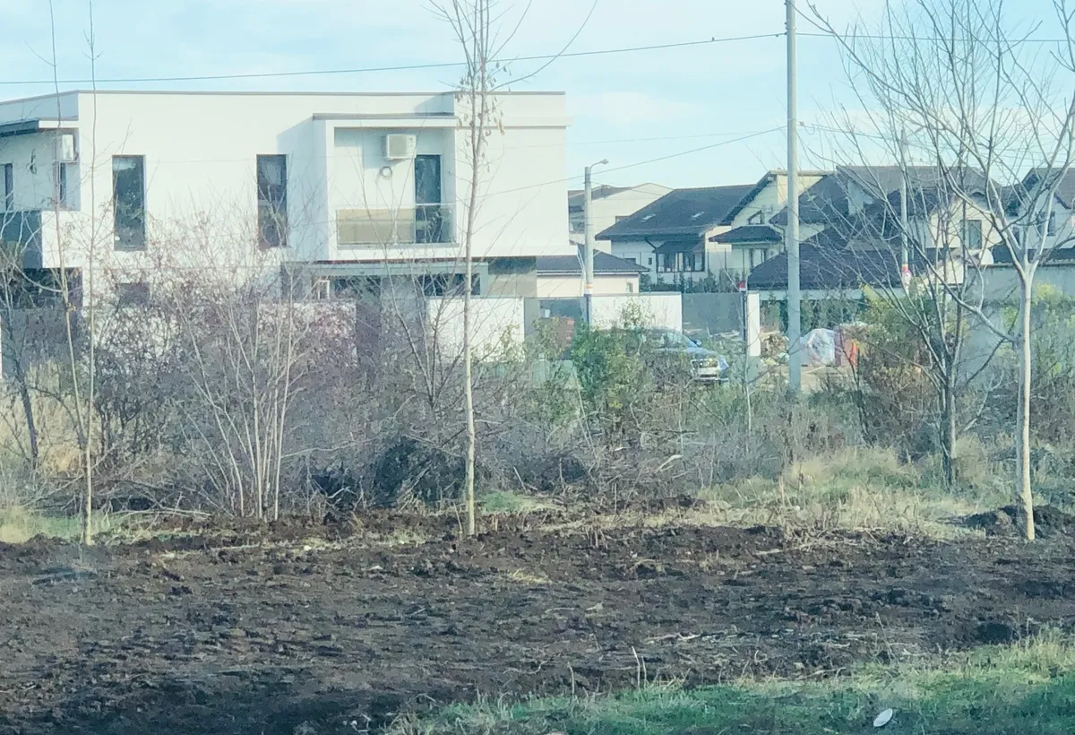 Voluntari Matei Millo