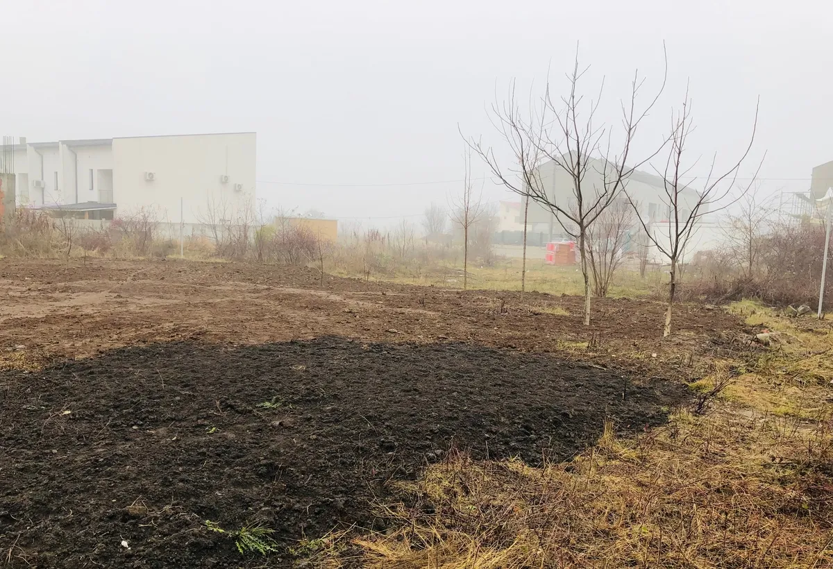 Voluntari Matei Millo