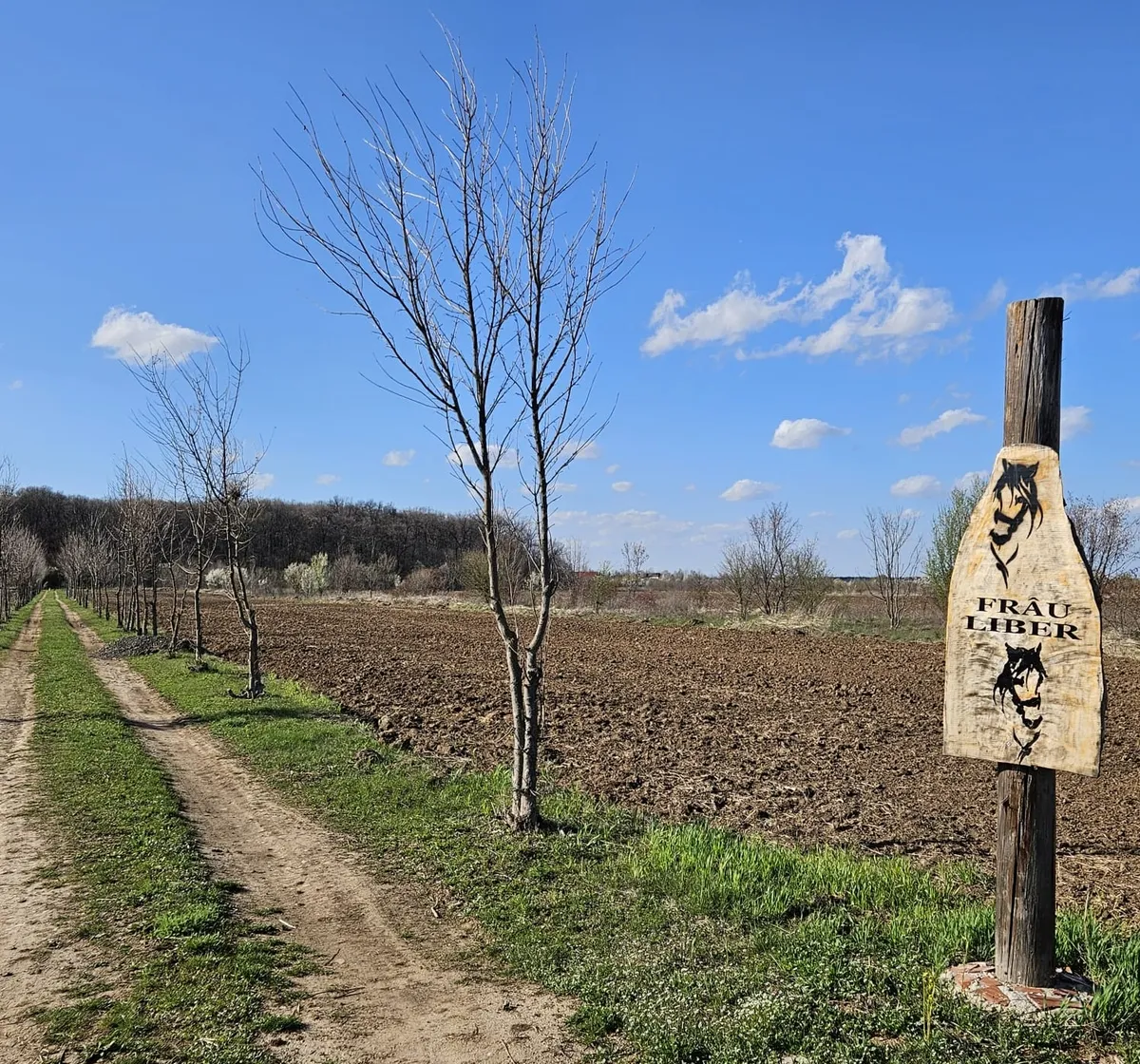 Sabareni teren intravilan construibil vecin cu padurea Sabareni