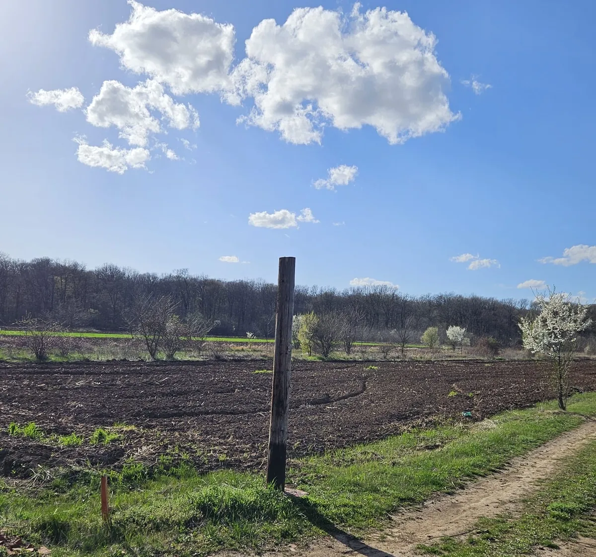 Sabareni teren intravilan construibil vecin cu padurea Sabareni