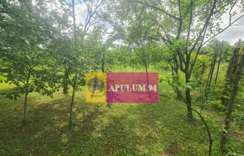 Casa de vanzare in Banesti