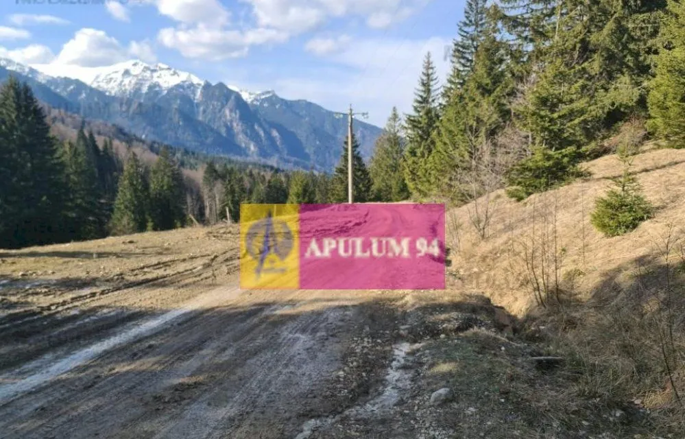 Teren de vanzare in Predeal Zona Forban