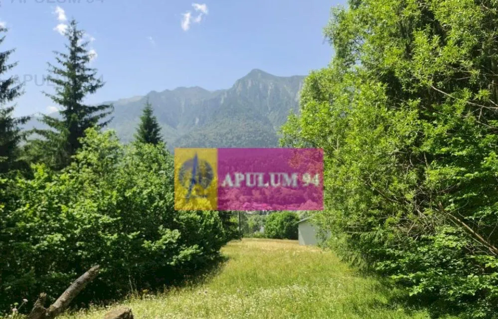 Teren de vanzare in Busteni Zona Zamora