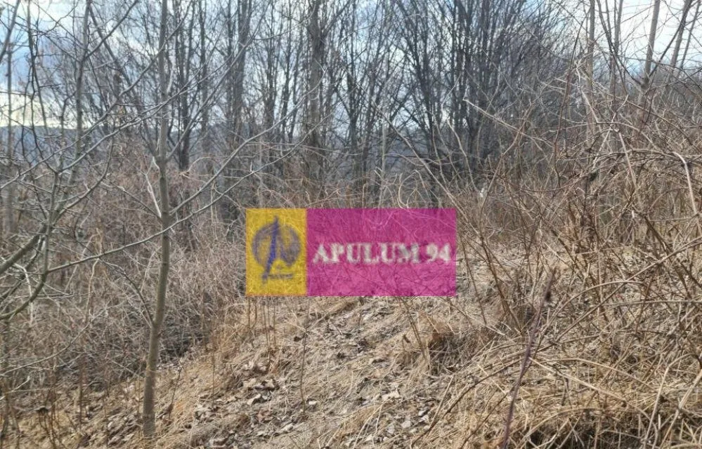 Teren de vanzare in Sinaia Platou Izvor