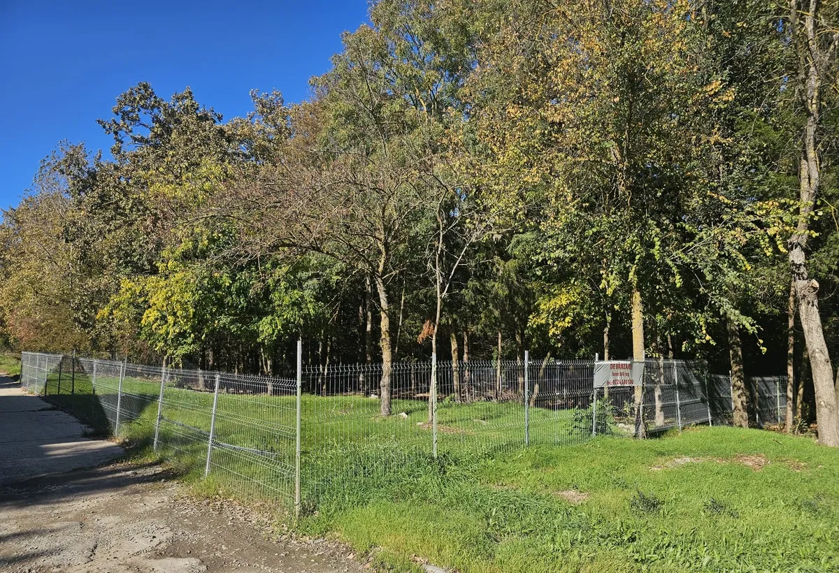 Mangalia str Ferdinand nr 32 Jupiter