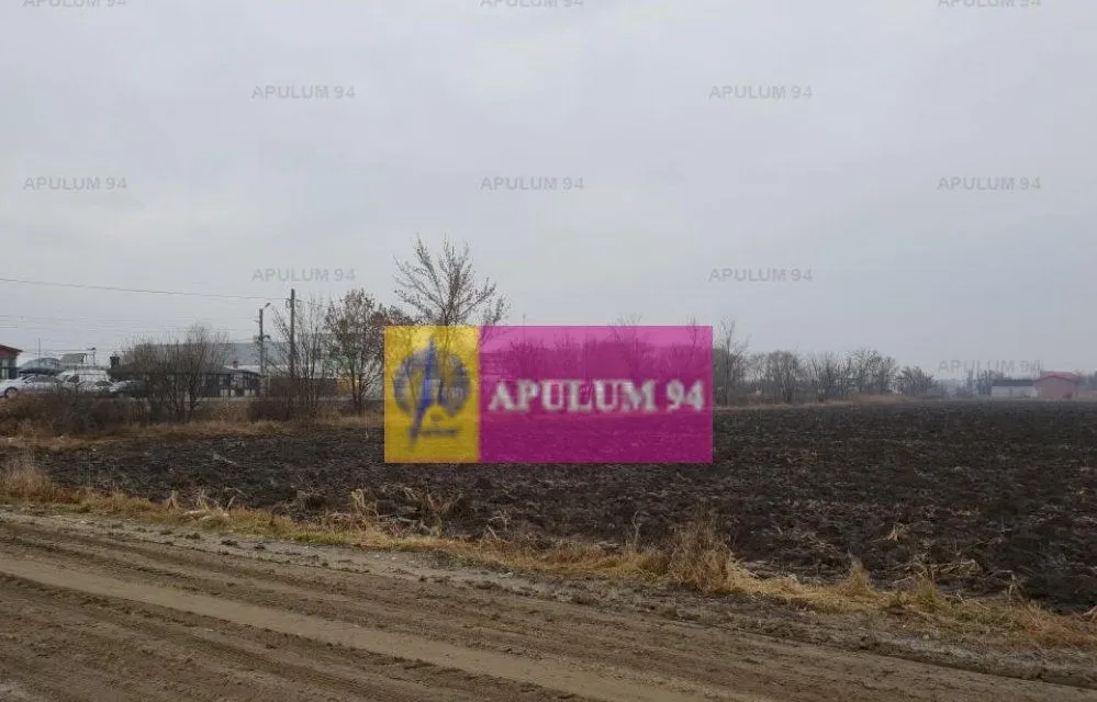 Teren ideal showroom depozit logistica magazin hala comercial