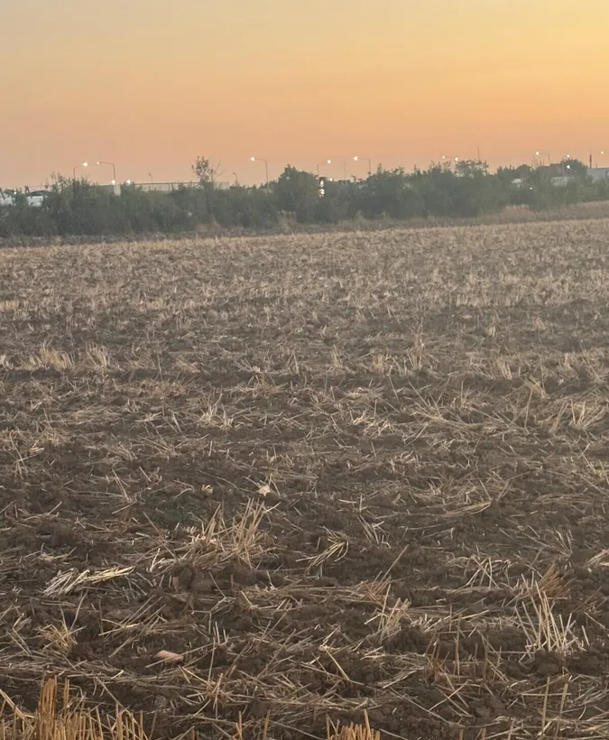 Vand teren intravilan Branesti 2500 mp pret 70 euro/mp