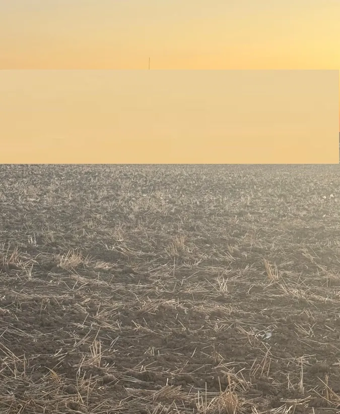 Vand teren intravilan Branesti 2500 mp pret 70 euro/mp