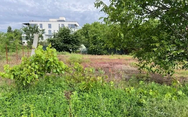 Teren Ghencea Dantelei Darvari