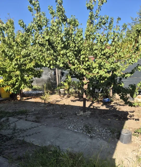 Domnesti zona Craitei Foisorului Casa parter