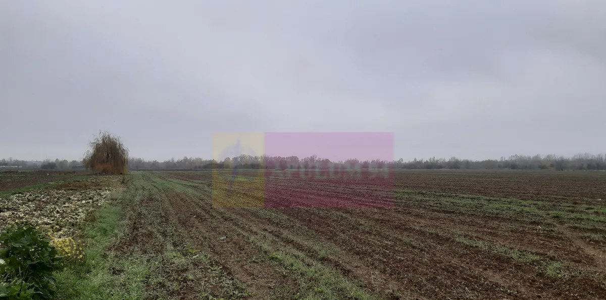 Teren Investitie aproape de Bucuresti