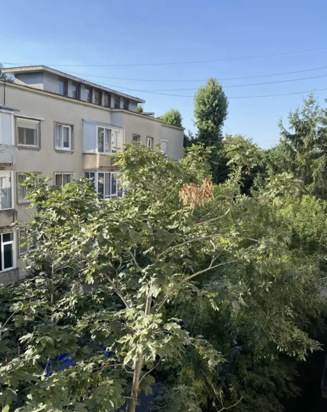 Floresca Mozart Apartament 2 camere