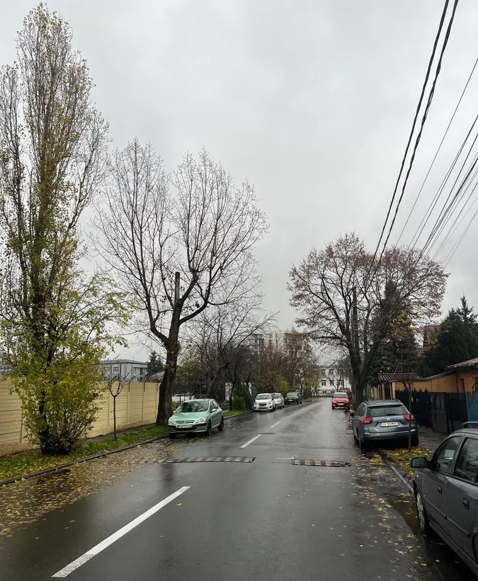 Damaroaia Neajlovului st 390 mp D 13 ml