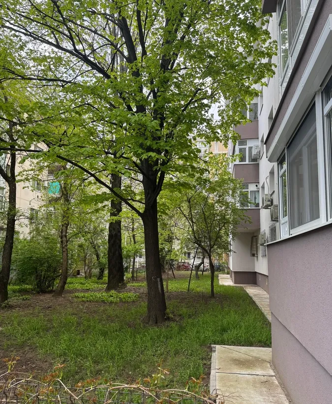 Gorjului Orsova Lacul Morii Virtutii Veteranilor Lujerului Politehnica