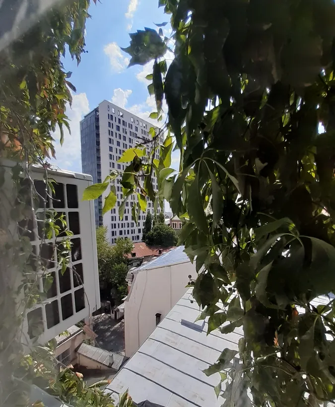 Calea Victoriei Amzei Cismigiu