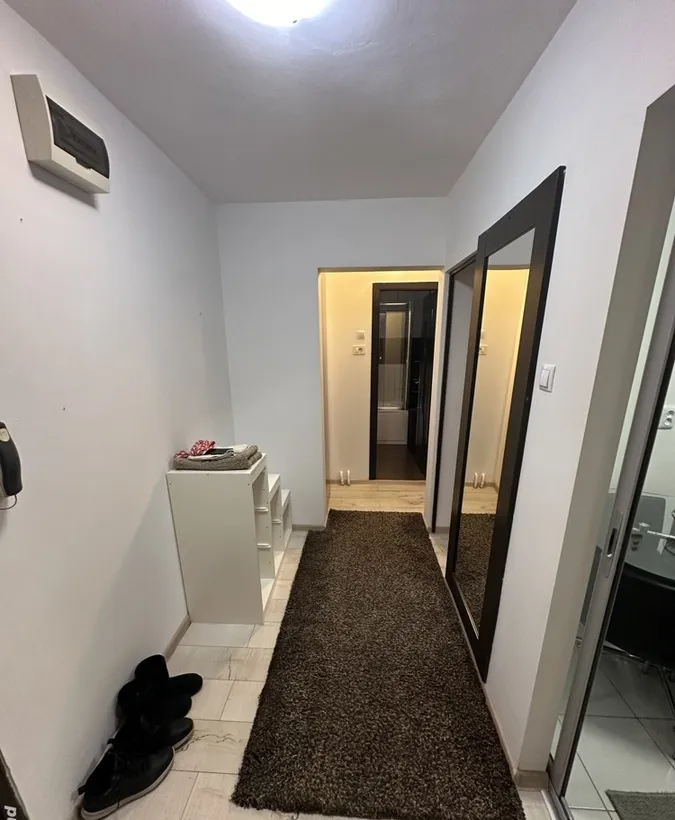 Piata Delfinului Metrou Costin Georgian