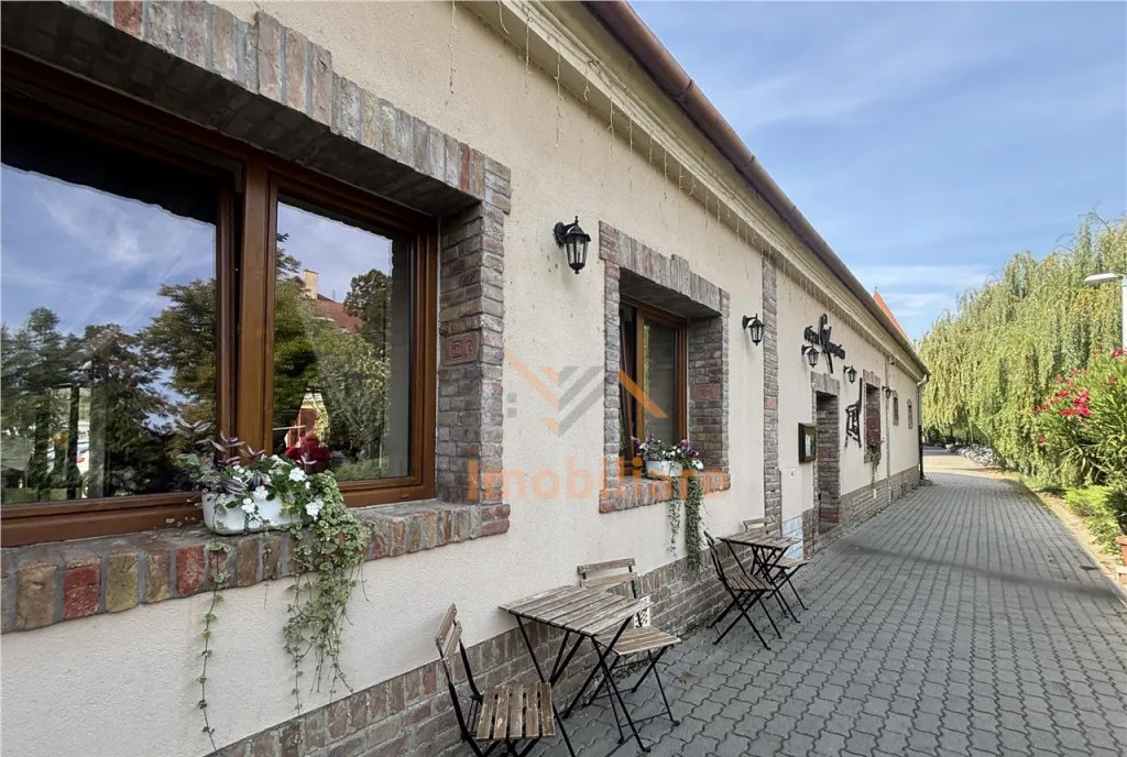 Spatiu comercial alimentar terasa 30 mp salonta bihor