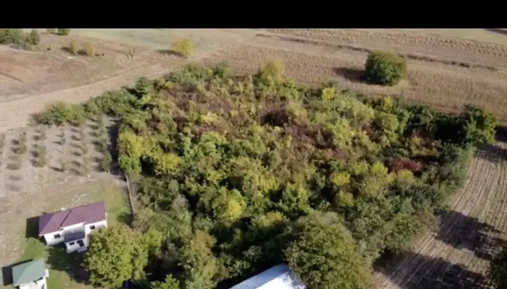 De vanzare - Teren Ungureni Jud Dambovita