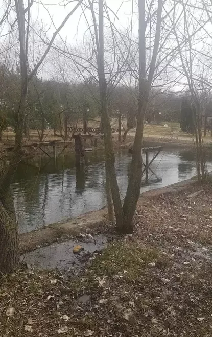 Vand proprietate imobiliara teren si transformator