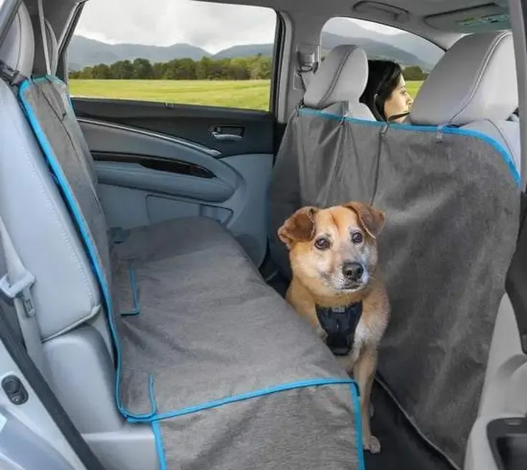 Husa bancheta masina Coast to Coast Hamock Kurgo