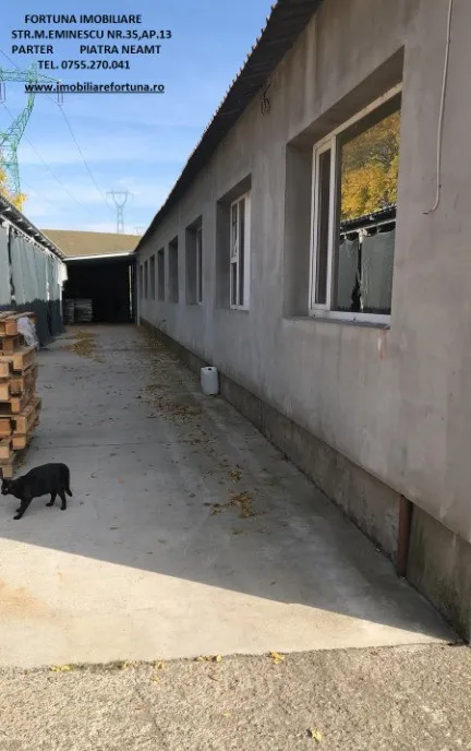 Hala industriala P 1E si teren intravilan 2992 mp Piatra Neamt