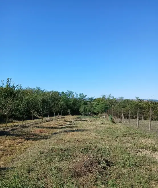 Teren intravilan cu fundatie de vanzare