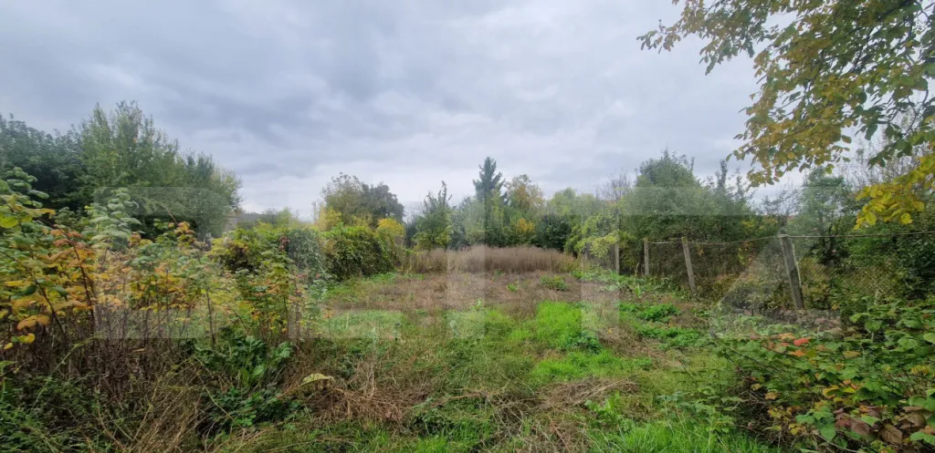 Casa 4 camere 1150 mp teren la asfalt toate utilitatiile