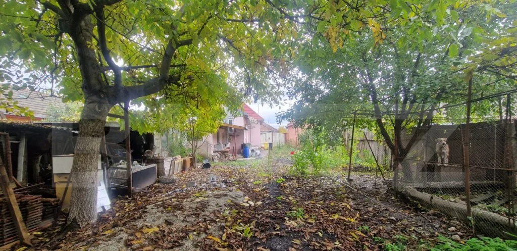 Casa 4 camere 1150 mp teren la asfalt toate utilitatiile