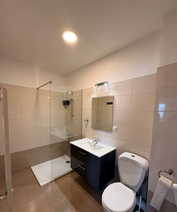 Apartament 1 camera decomandat zona Eroilor