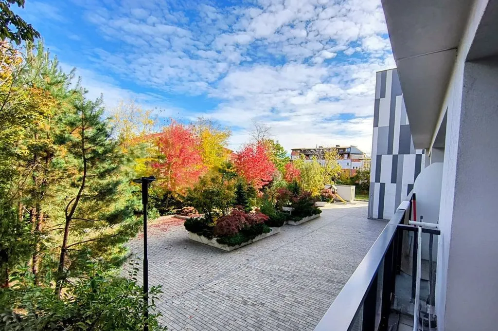 Iancu Nicolae Gradina Zoologica Jolie Ville Loc parcare