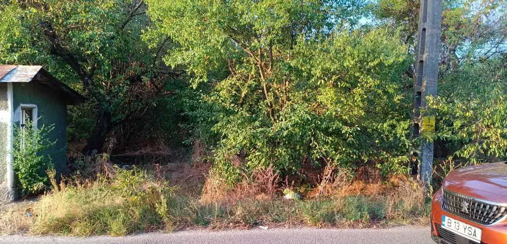 De vanzare teren intravilan cu padure