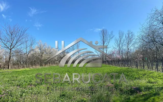 Teren intravilan 4975 mp Belciug Draganesti Prahova