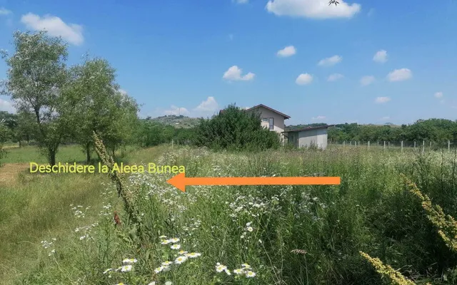 Teren intravilan construibil 500 mp Tintea Baicoi